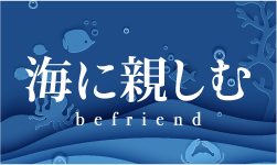 海に親しむ