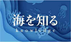 海を知る